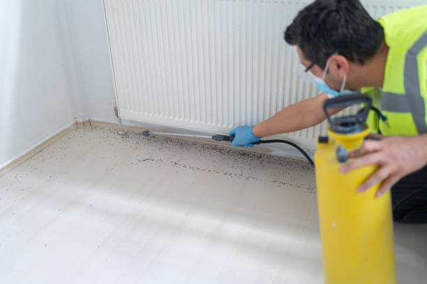 Best Wasp Removal Services  in Mathis, TX