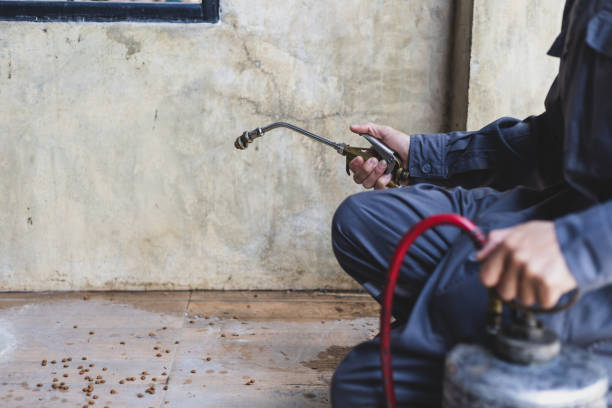 Best Affordable Pest Control Services  in Mathis, TX