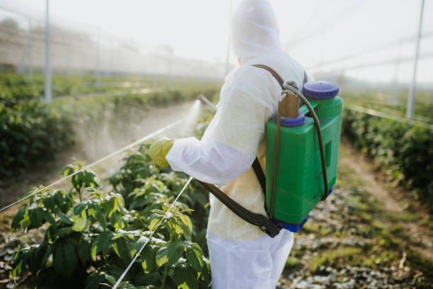 Best Best Pest Control Companies  in Mathis, TX